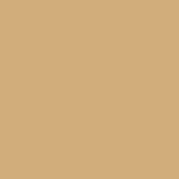 Back_2_c_16.jpg
